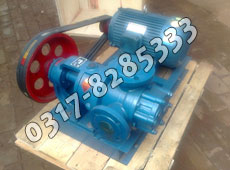 NYP轉(zhuǎn)子泵