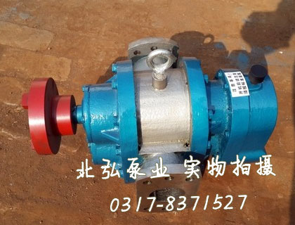 不銹鋼羅茨泵